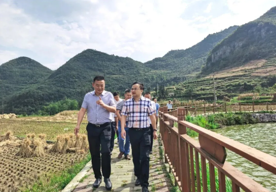 畢節(jié)工業(yè)職業(yè)技術(shù)學(xué)院黨委書記李涌、院長(zhǎng)邱國(guó)援率隊(duì)到鄉(xiāng)村振興駐村聯(lián)系工作點(diǎn)調(diào)研